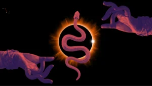 Efeitos dos Eclipses
